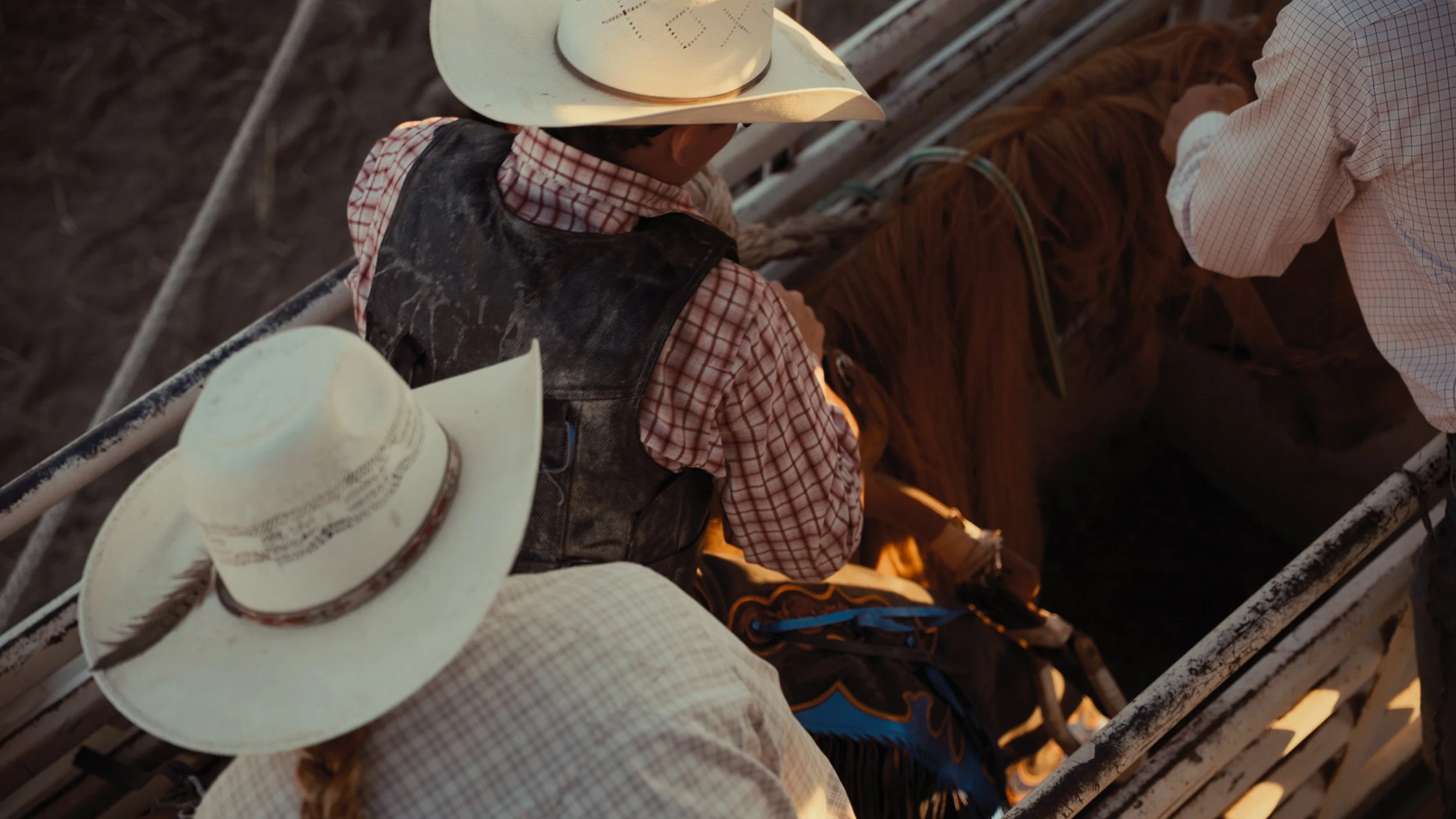 Two children wearing cowboy hats and Western-style clothing sitting on a horse, with the horse's head visible in the image, in a rural setting.