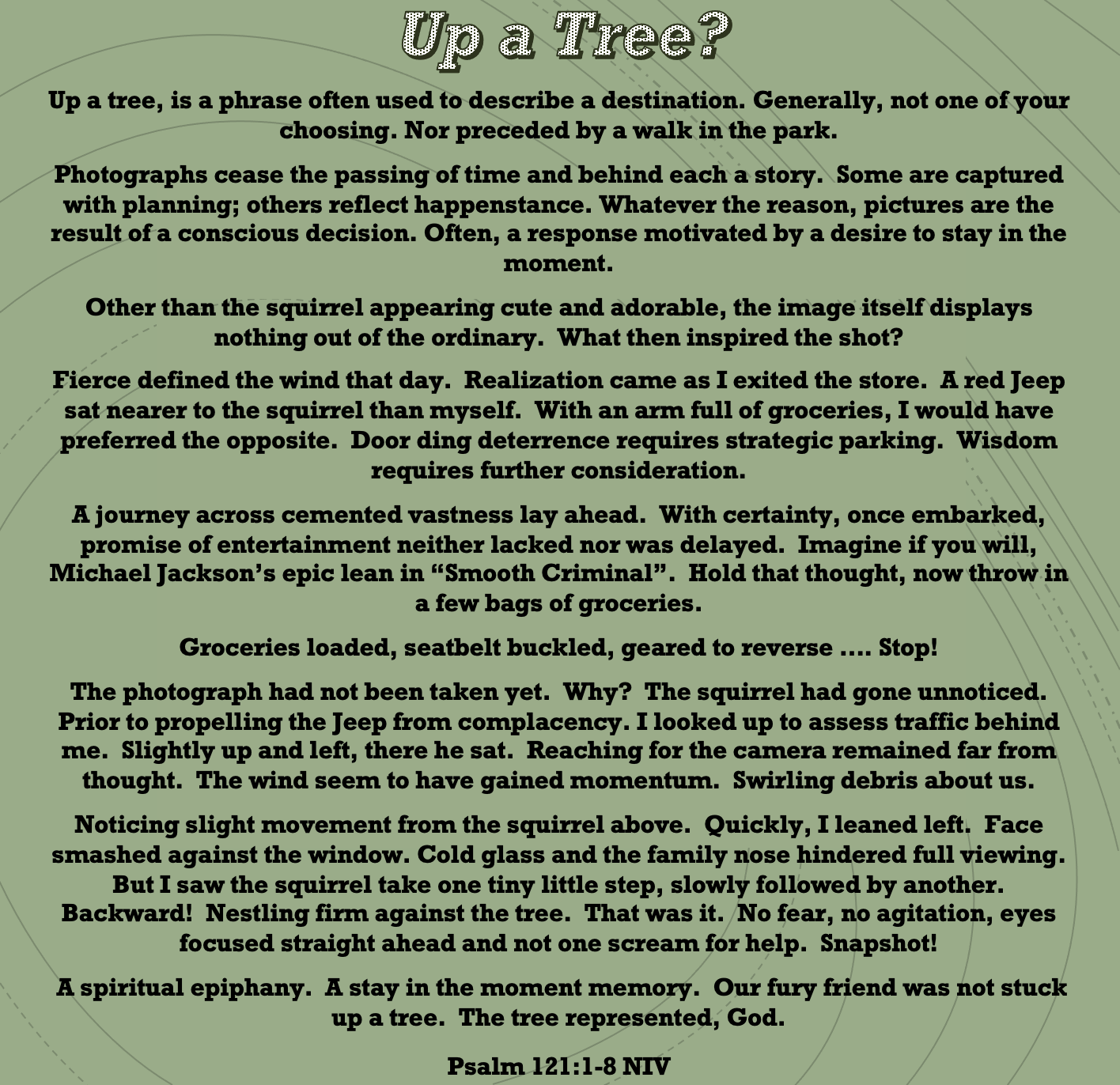 A green background with black and white text titled 'Up a Tree?'. The text discusses the metaphor of climbing a tree, photography, observations of a squirrel, a poetic description of a journey, and a biblical reference to Psalm 121:1-8 NIV.