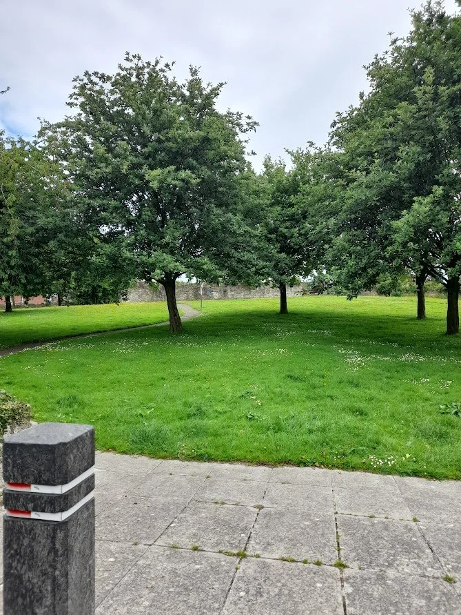 ‘The Forgotten Famine’ a short film on the Newtownards workhouse burial ground