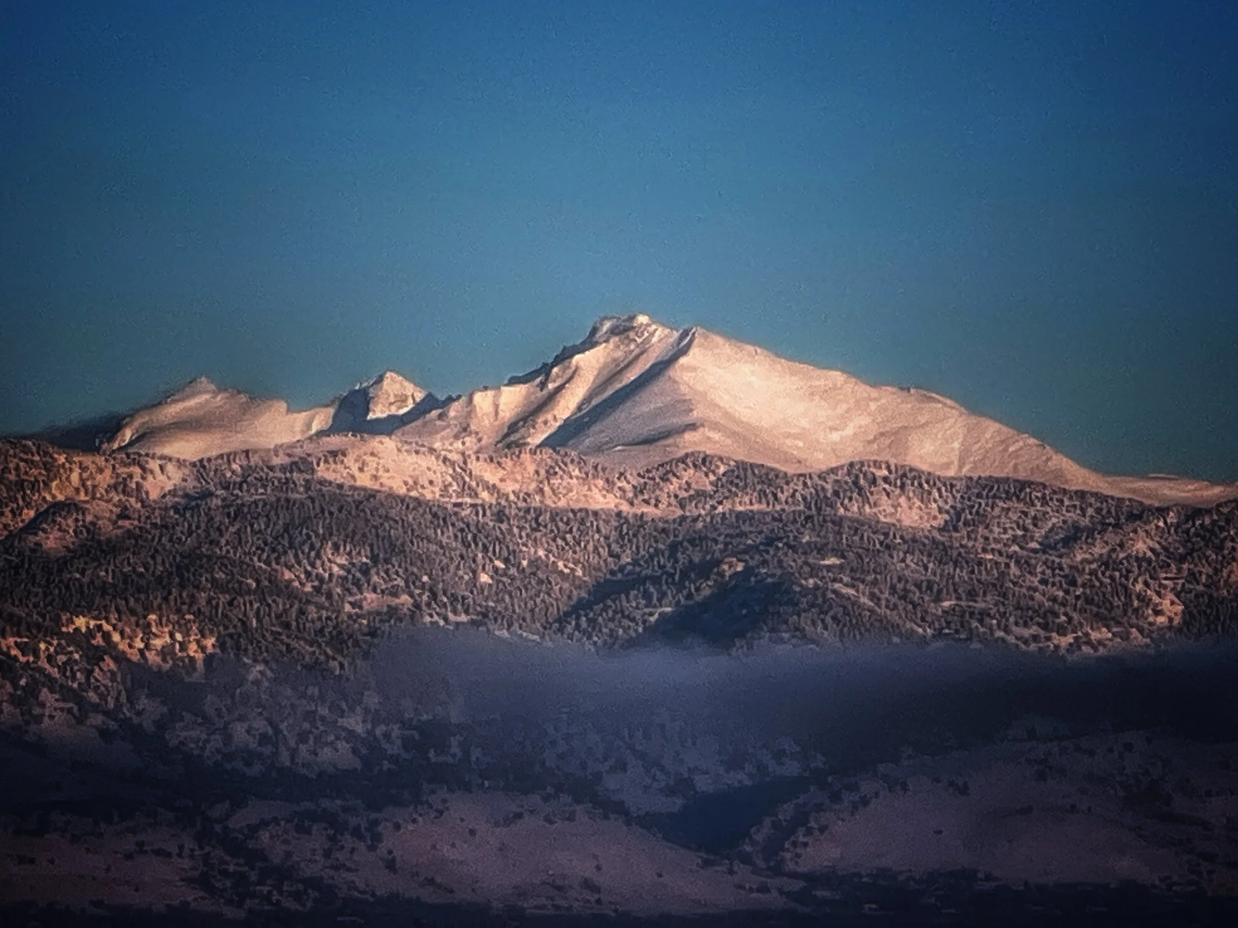 IMG_2319.jpeg