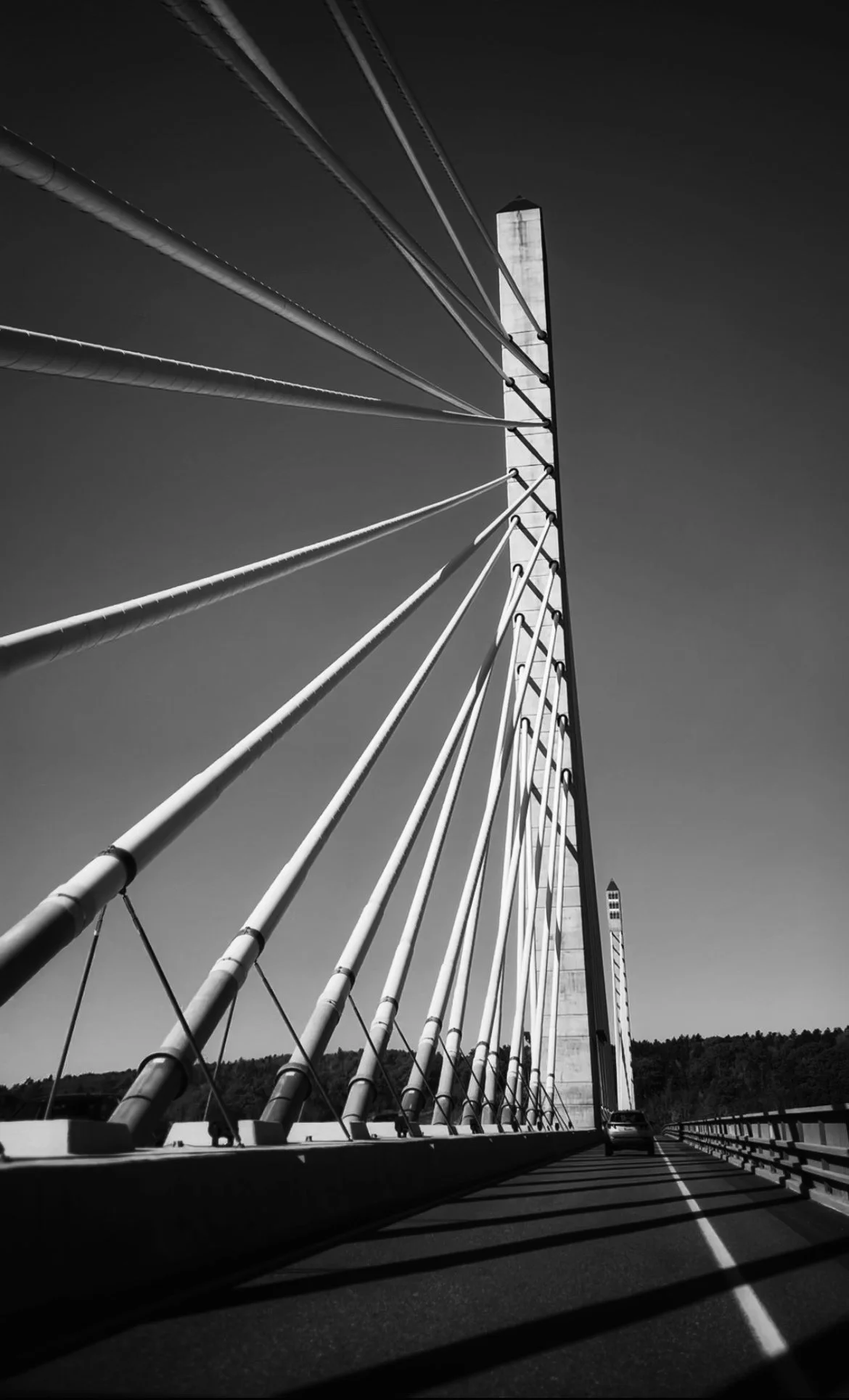IMG_9039.jpeg