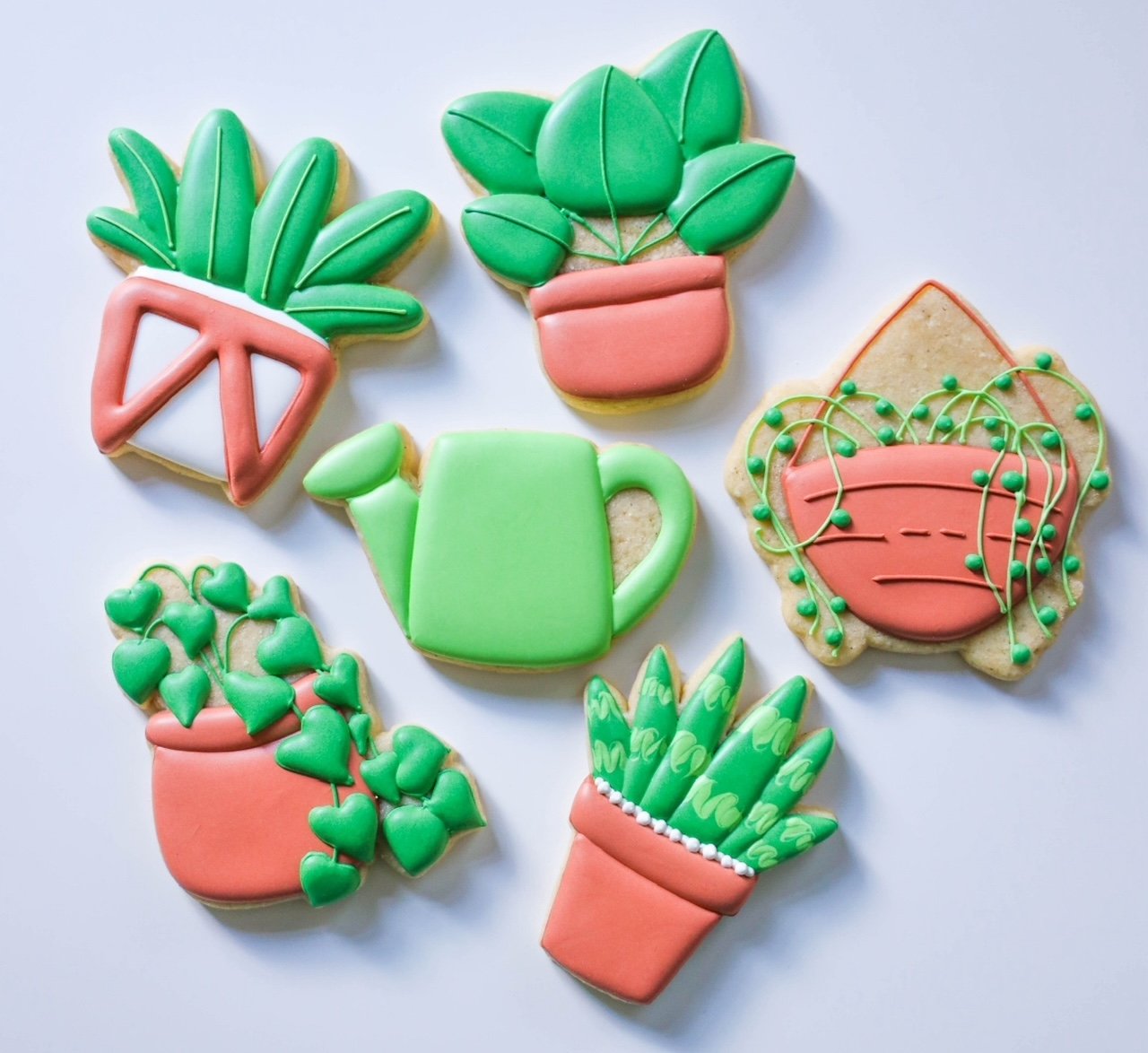 PlantCookieset.jpg
