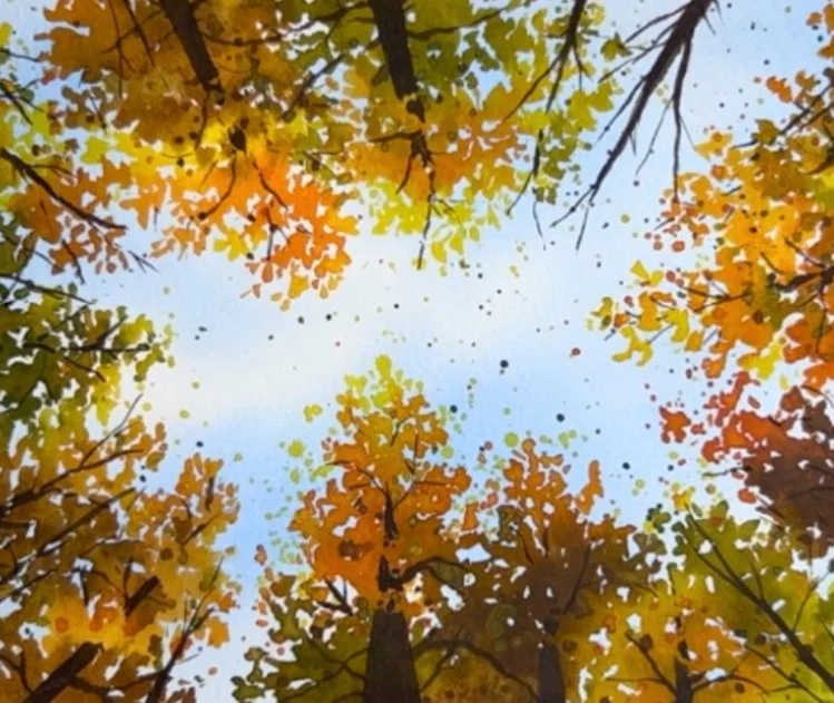 AutumnCanopy.jpg