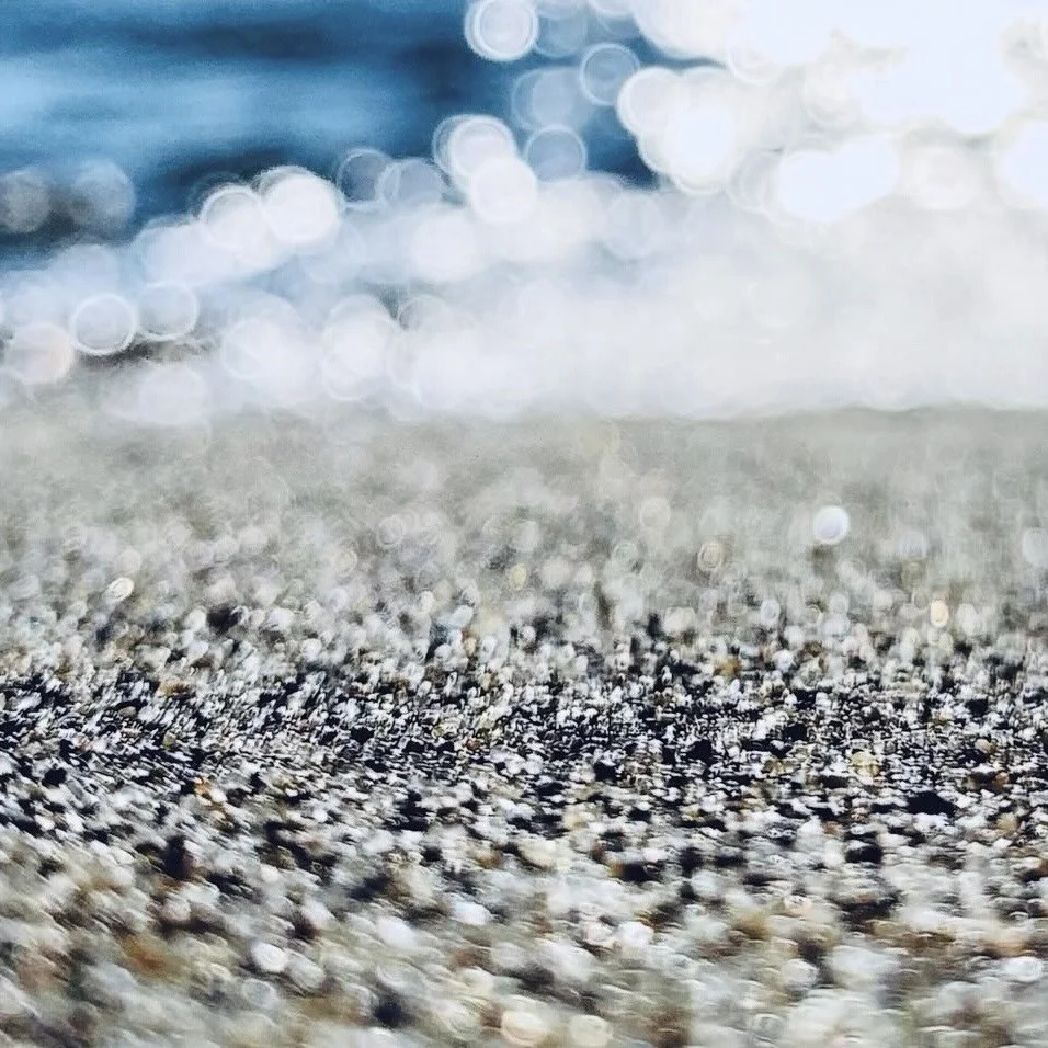 Fox_Shimmering_Shore.jpg