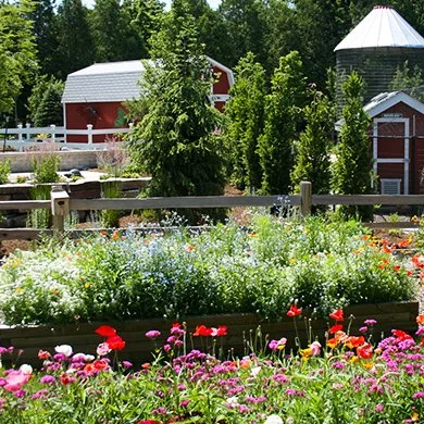 Plein Air: Art in the Gardens