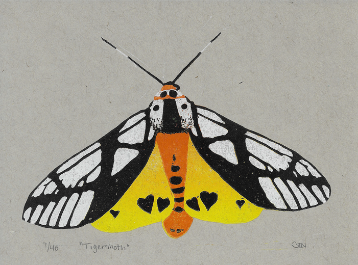Tiger+Moth+Scan.png