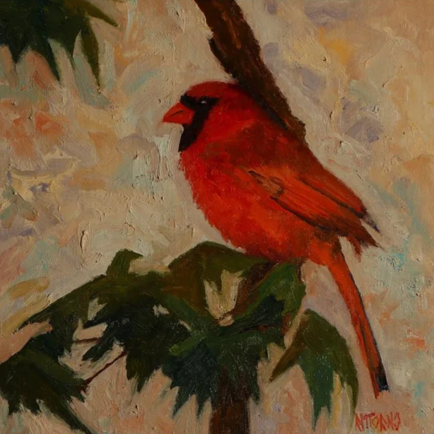 Male+Cardinal.png
