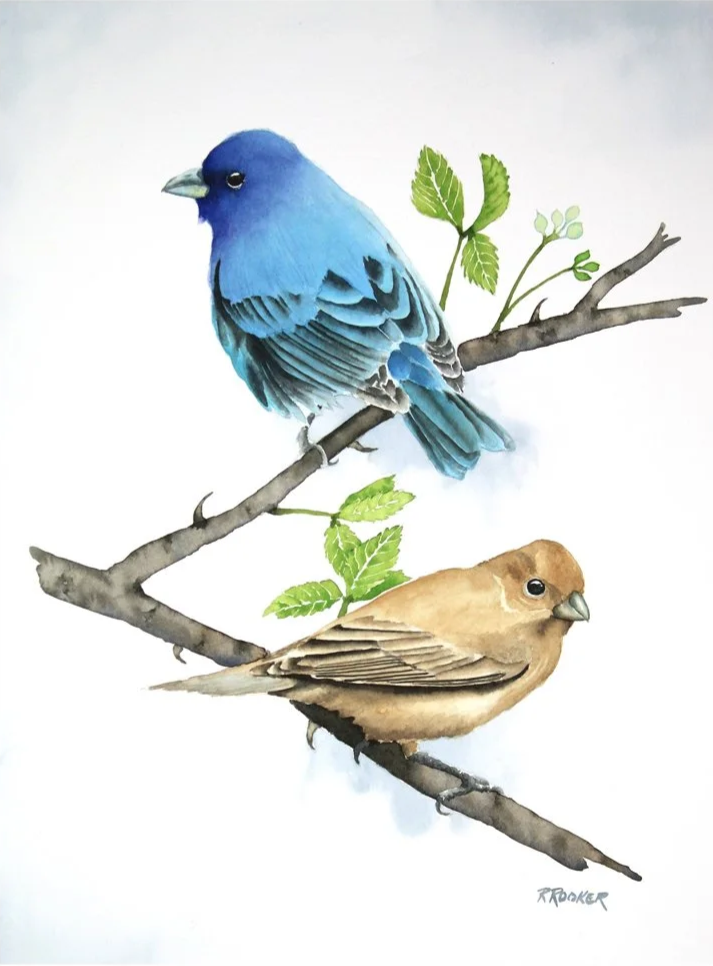 Bunting+Pair.png