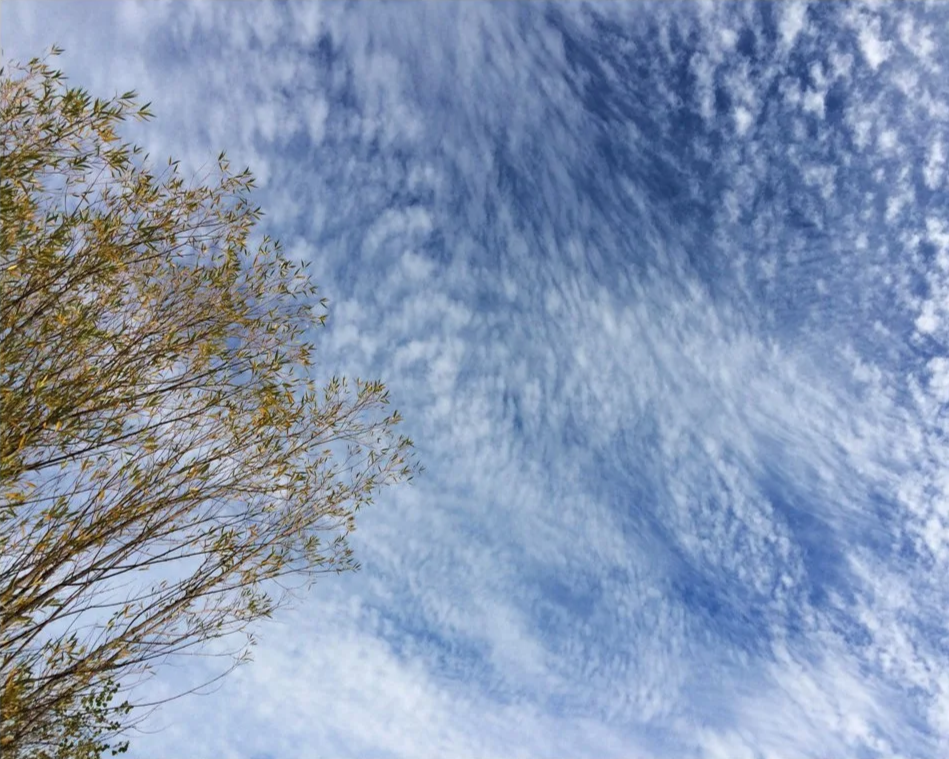 Blanket+view.png