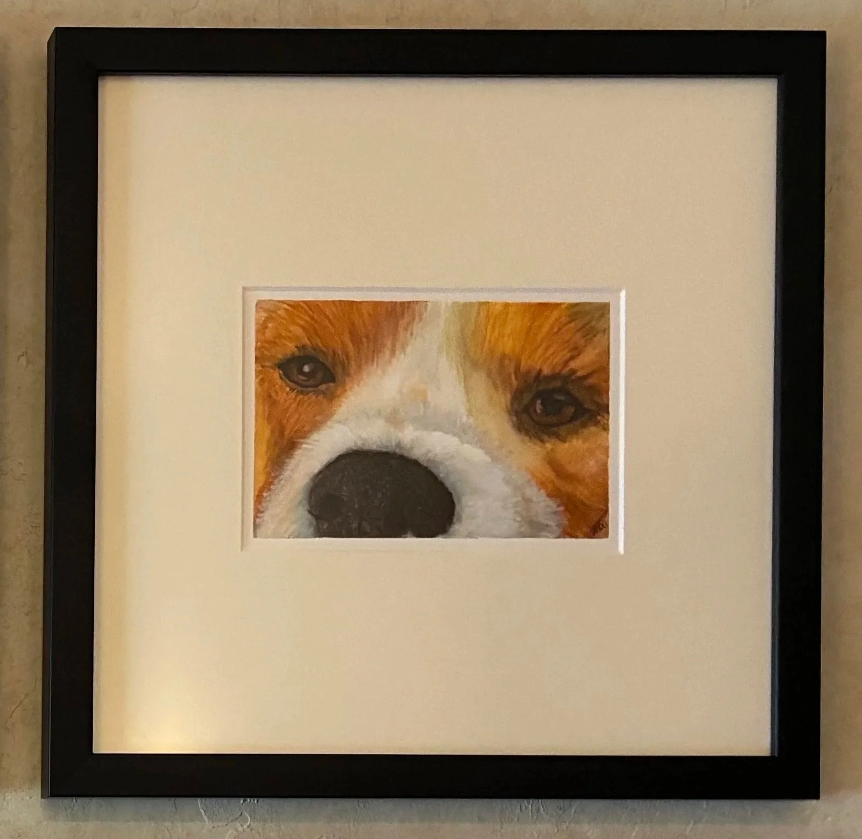 dog2.jpg