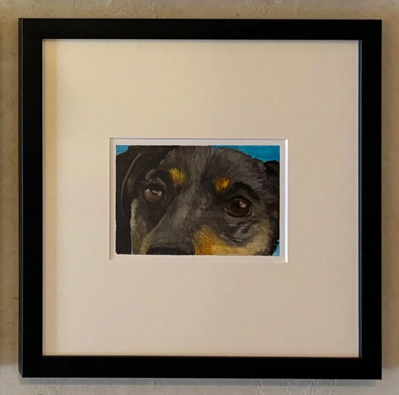 dog1.jpg