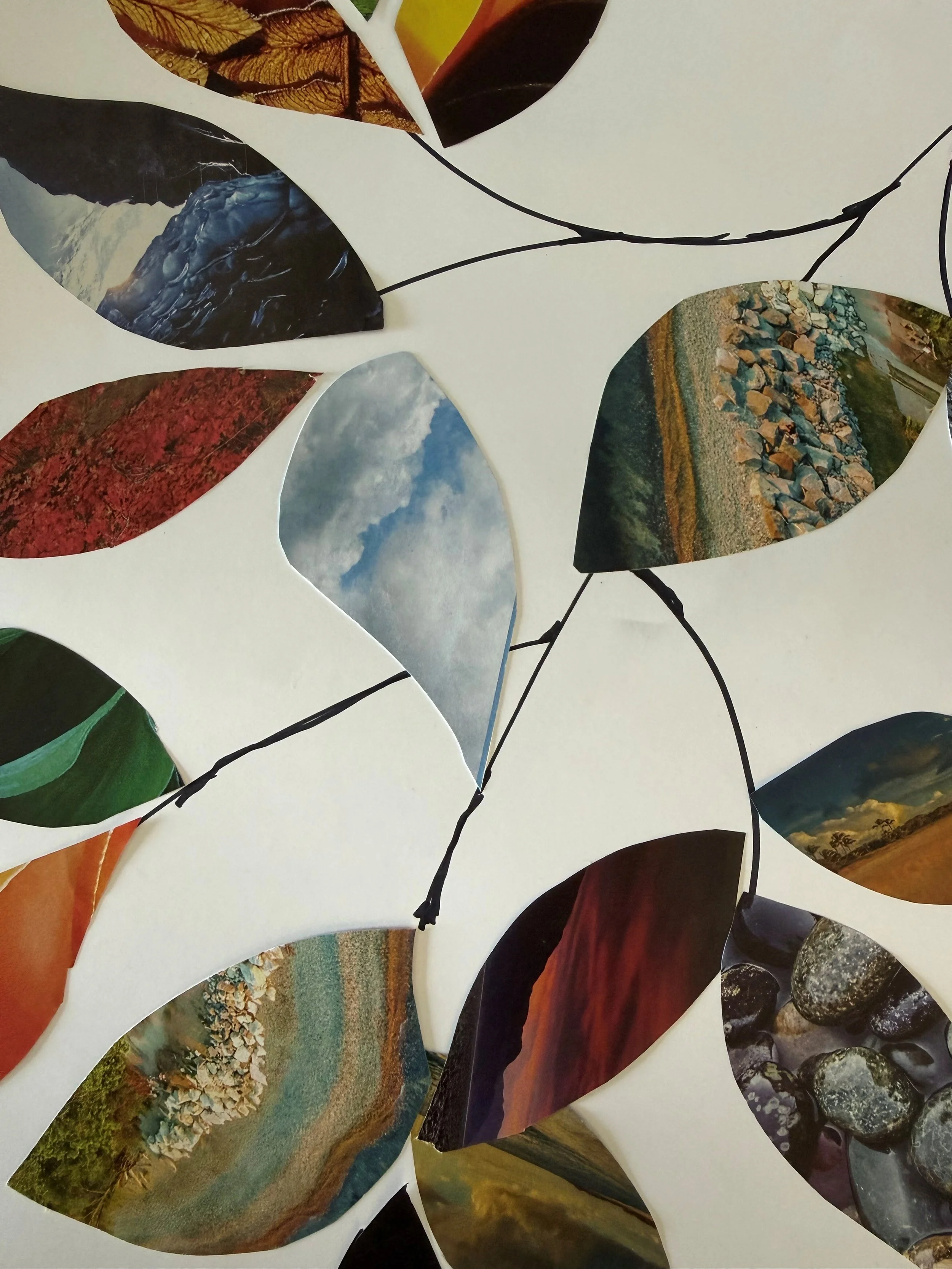 “Inspired by Nature” Gallery Opening - Hosted by Sheboygan Senior Community (SSC)