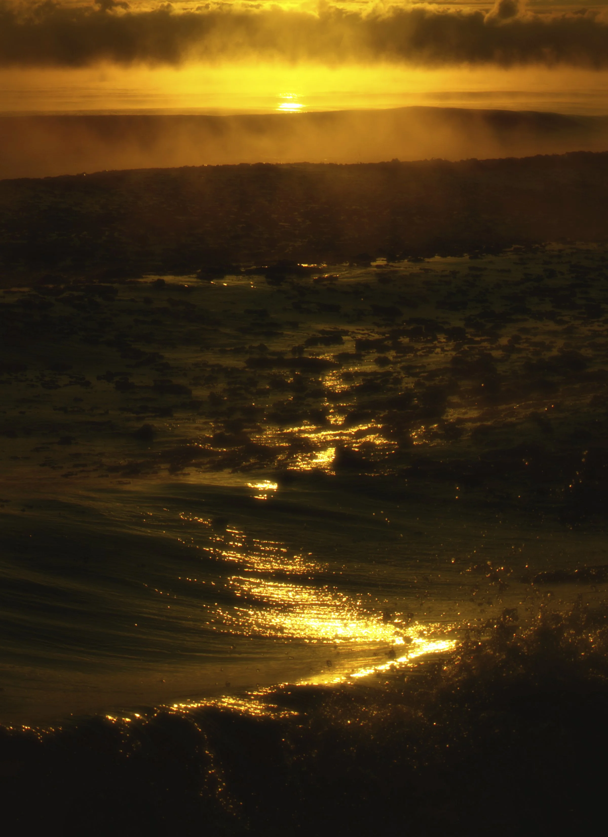 the path untravelled.jpg