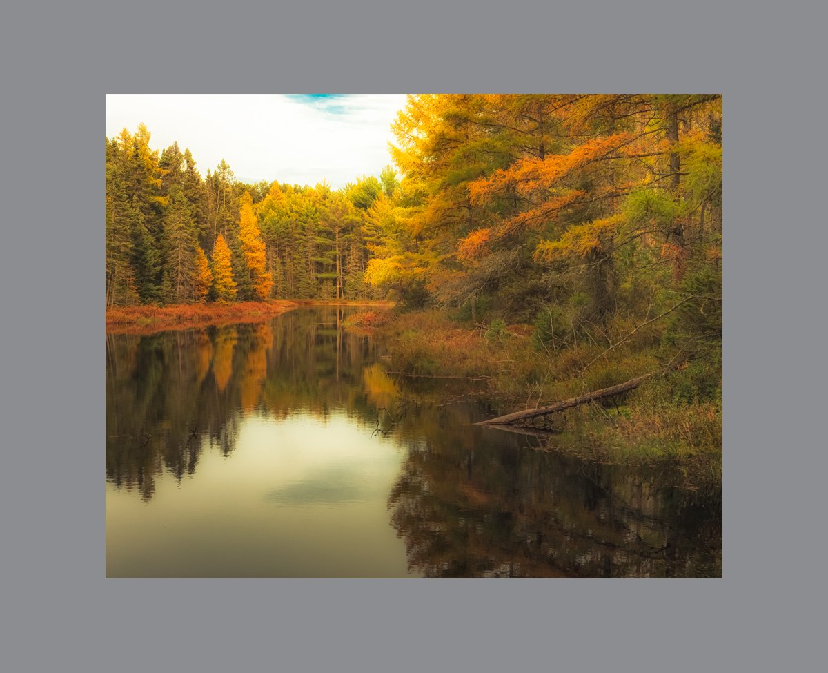 A Pond In Fall