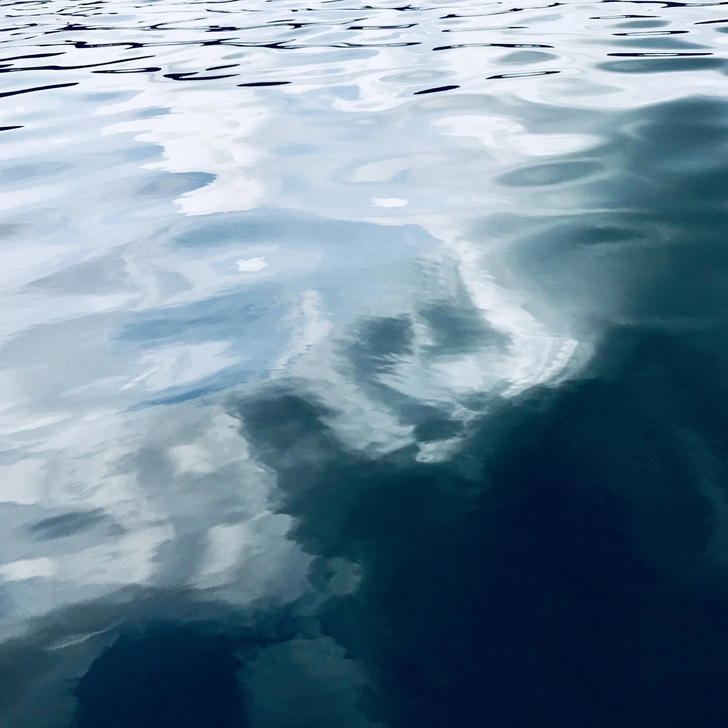 Fox_Refraction.jpg