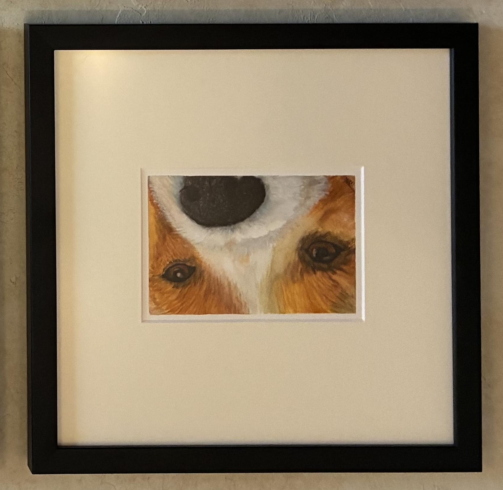 dog2.jpg