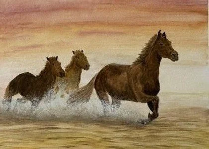 horses_1585.jpg