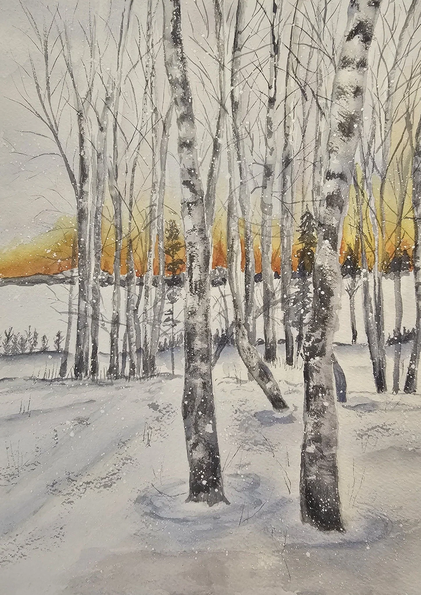 birch tree sunrise13 hal by 16 h alf.jpg