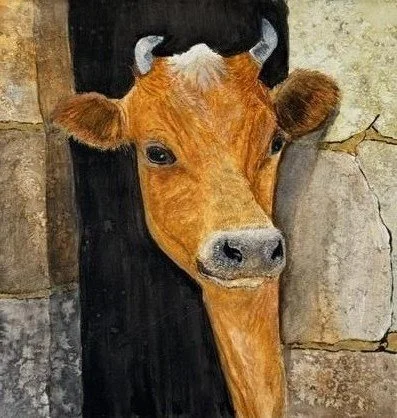 cow_8096.jpg