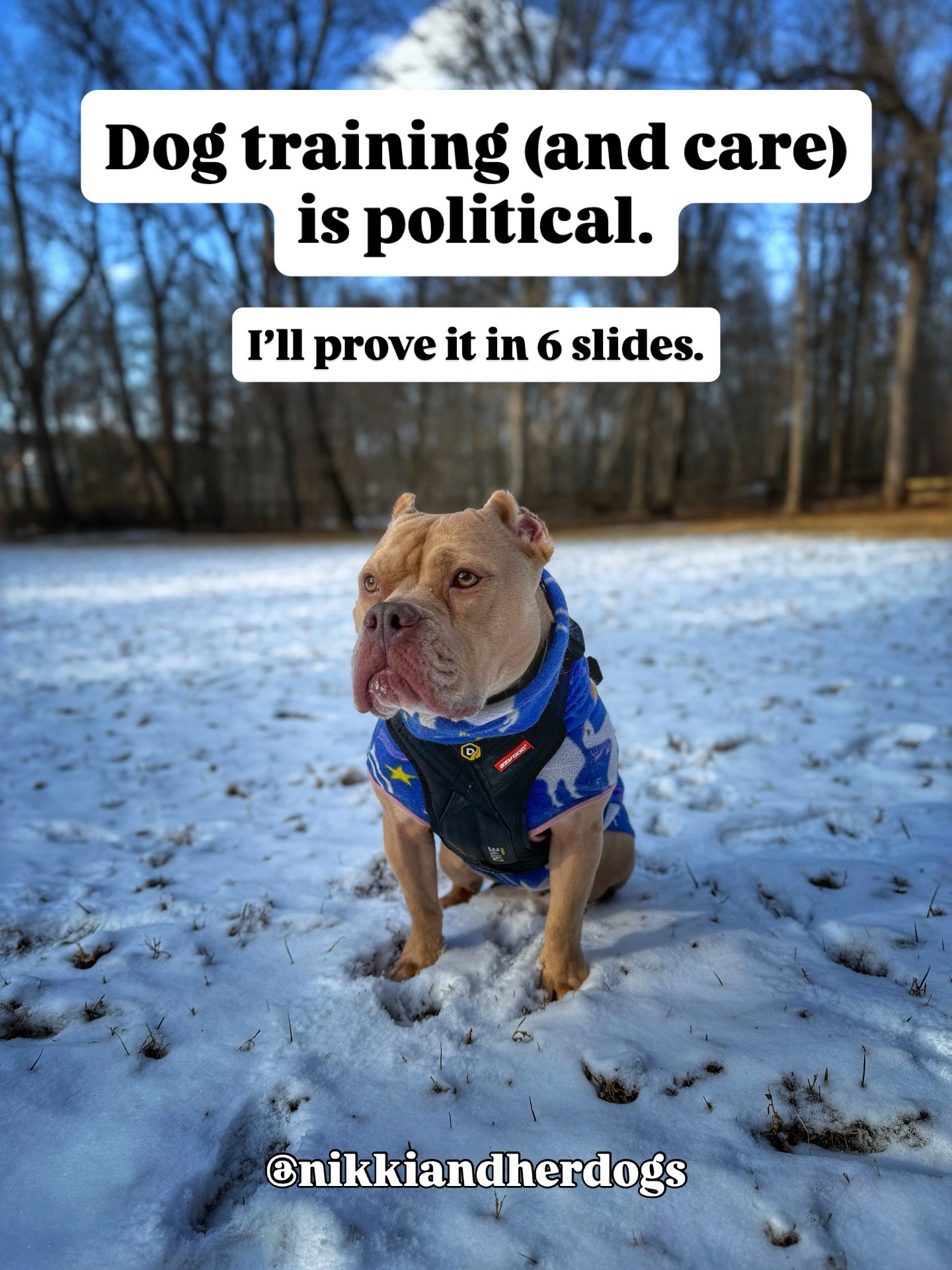 Tired of a lot these days, and right now I&rsquo;m tired of seeing comments on political posts from dog accounts complaining that they follow for the dog content, not the politics. 

Wake tf up. EVERYTHING is political. 

Hope this helps.