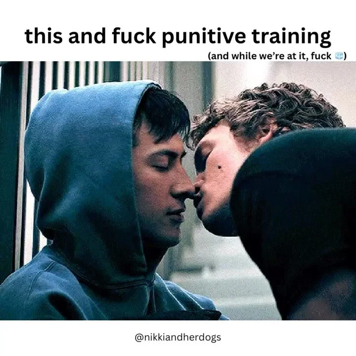 Heated Rivalry dog training meme drop 🔥🏒⛸️

Dog folks: what would you have written for these memes?! Tell me what I missed because I agonized over this and I&rsquo;m POSITIVE I missed something. 

It was time to tear myself away, but I&rsquo;m sure