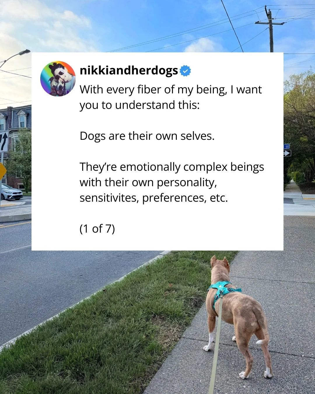 A manifesto. Or a Ted talk. 🤷🏻&zwj;♀️😂

If you wondered what my philosophy toward dogs and dog training was like, here it is. 

Training with me of course includes &ldquo;behavior mod&rdquo; and/or &ldquo;training&rdquo;, but in a way that&rsquo;s