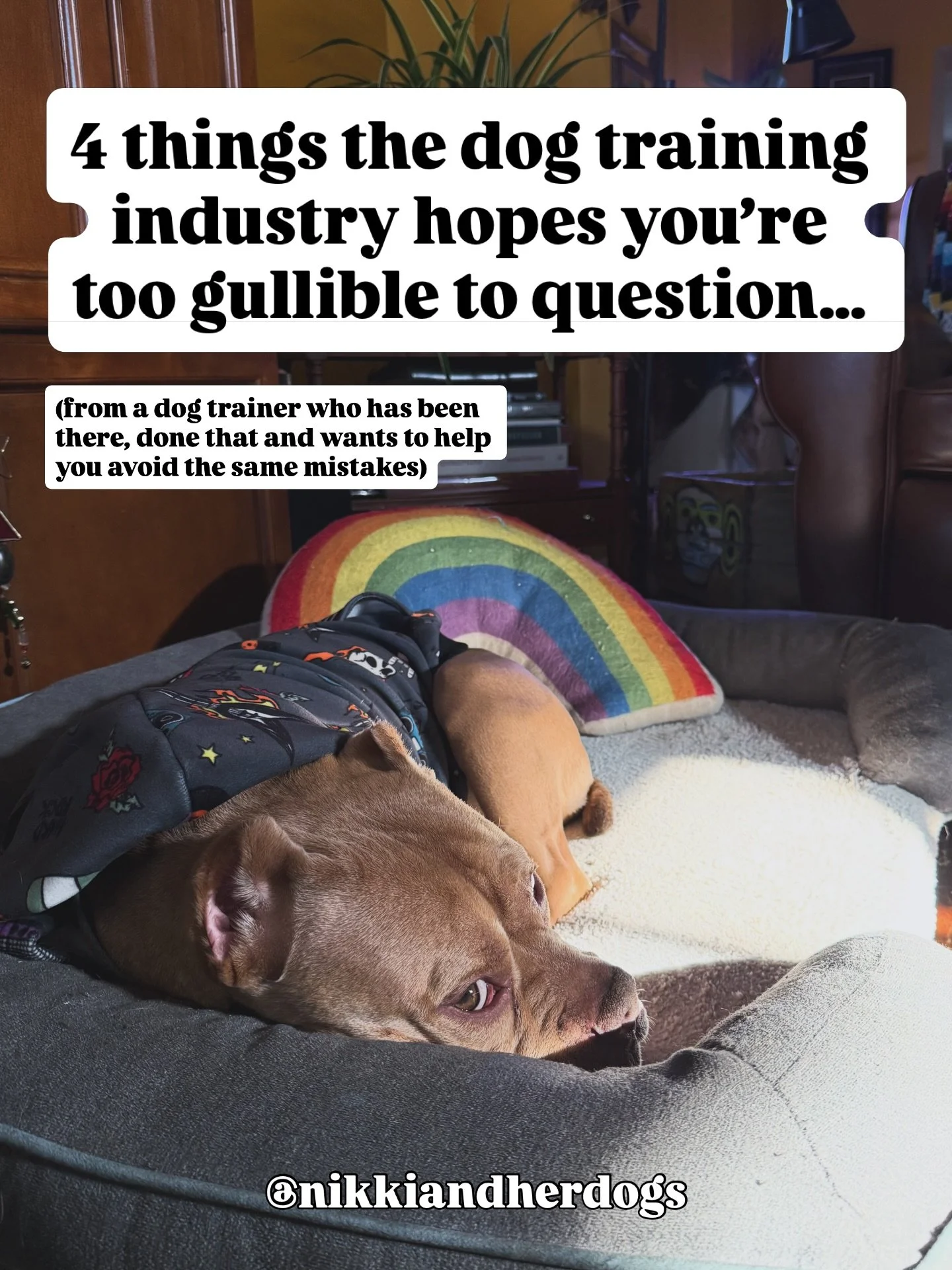 Sometimes I think the dog training industry is the misinformation capital of the world. (Although I think the health &amp; wellness industry would give it a run for its money.) 

Look, I used to be someone who believed and spread lots of misinformati