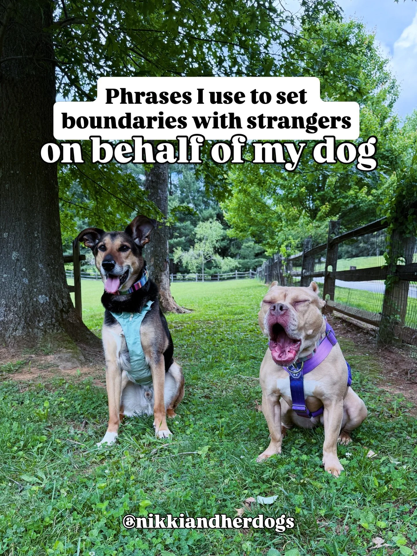 You do not owe anyone access to your dog. Folks may behave as if you do, but you don&rsquo;t. Hold firm. 

Also, there is a difference between being polite and being friendly. Being friendly invites further conversation, and if you have a sensitive d