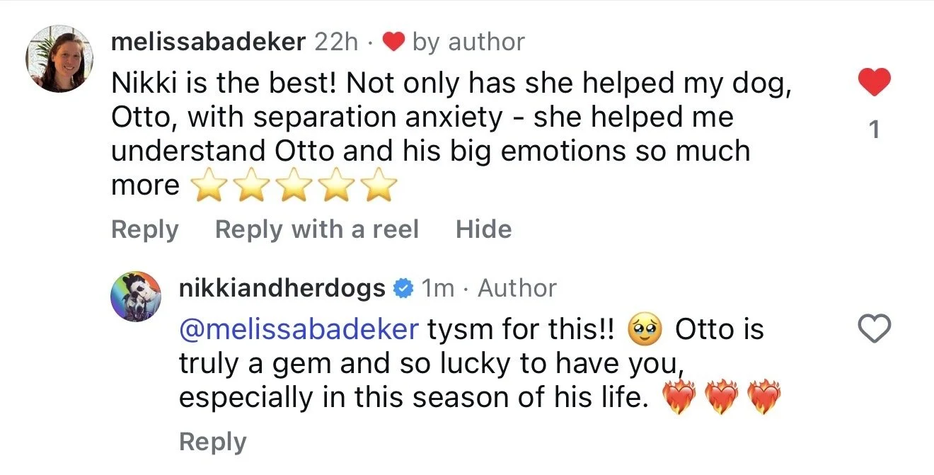A screenshot of a social media comment that says "Nikki is the best! Not only has she helped my dog, Otto, with separation anxiety - she has helped me understand Otto and his big emotions so much more" followed by five star emojis.