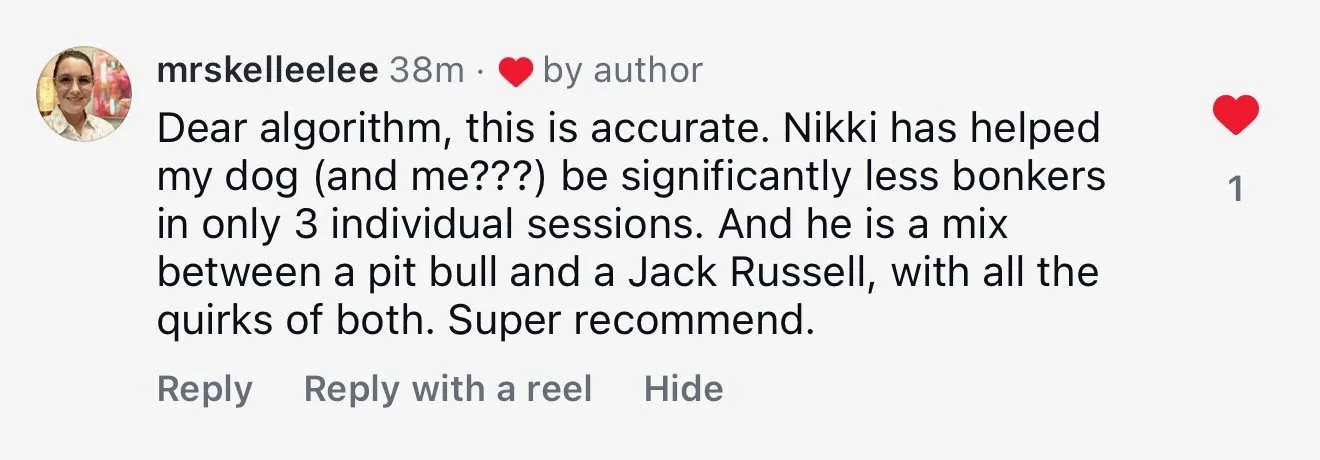 Screenshot of a social media comment saying "Nikki has helped my dog (and me???) be significantly less bonkers in only 3 individual sessions." 