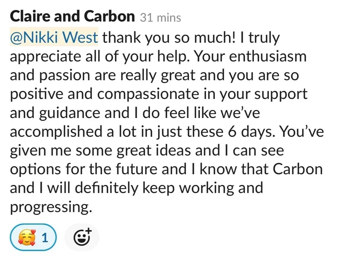 Screenshot of a client comment saying "You are so positive and compassionate in your support and guidance and I do feel like we've accomplished a lot in just these 6 days."