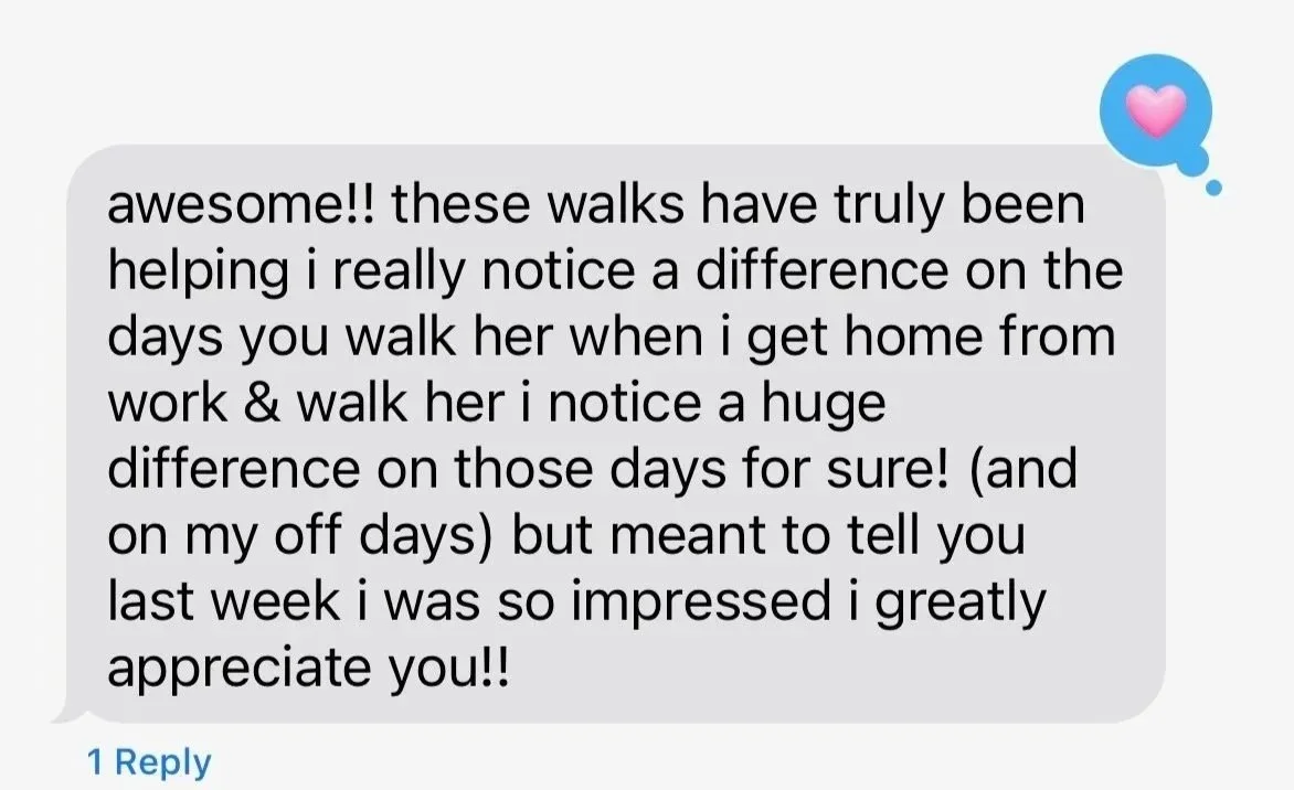 Screenshot of client message saying how much of a difference our training walks make.