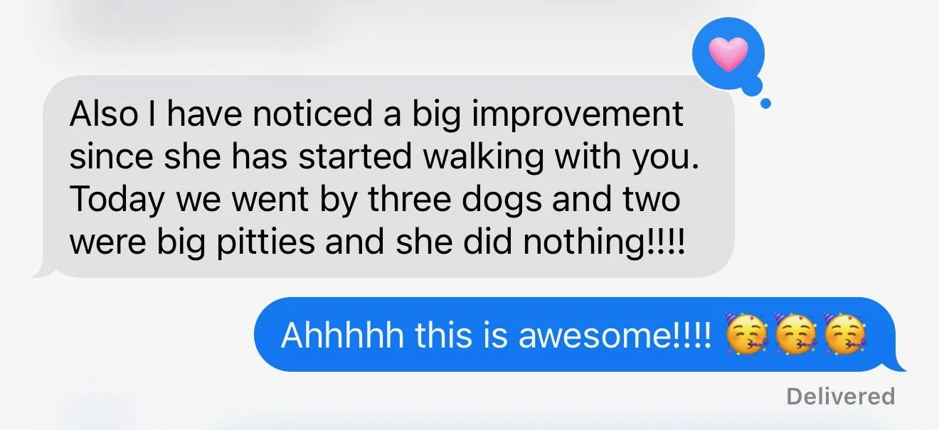 Screenshot of client message saying "I have noticed a big improvement since she has started walking with you. Today we went by three dogs and two were big pitties and she did nothing!!!"
