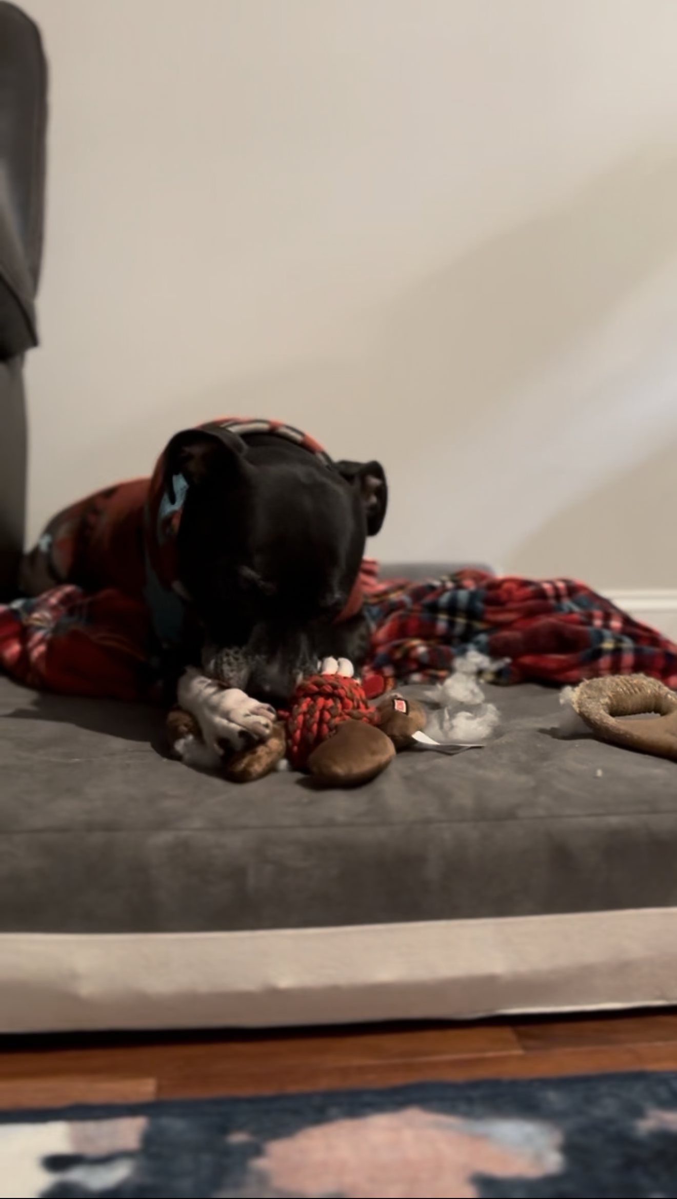 View recent photos.png