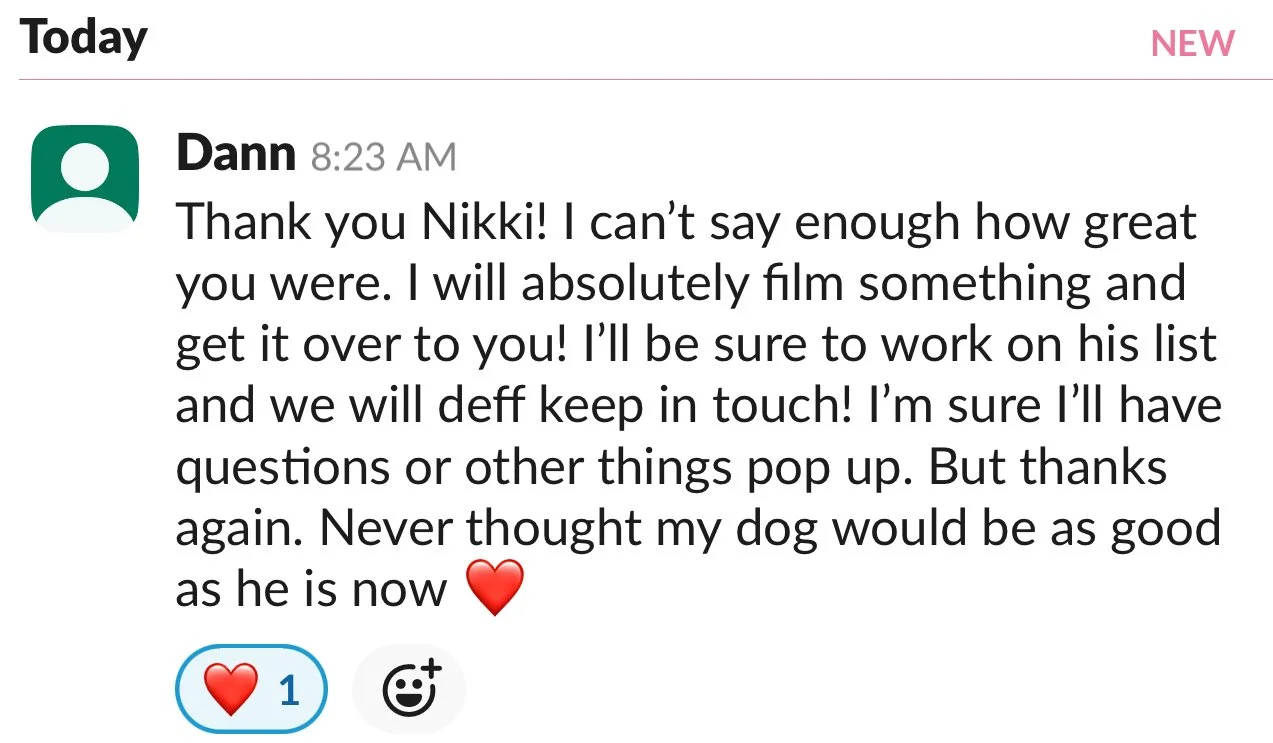 Screenshot of client comment saying "I can't say enough how great you were... Never thought my dog would be as good as he is now."