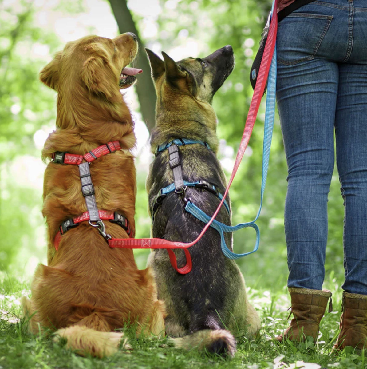 Image courtesy of Blue9