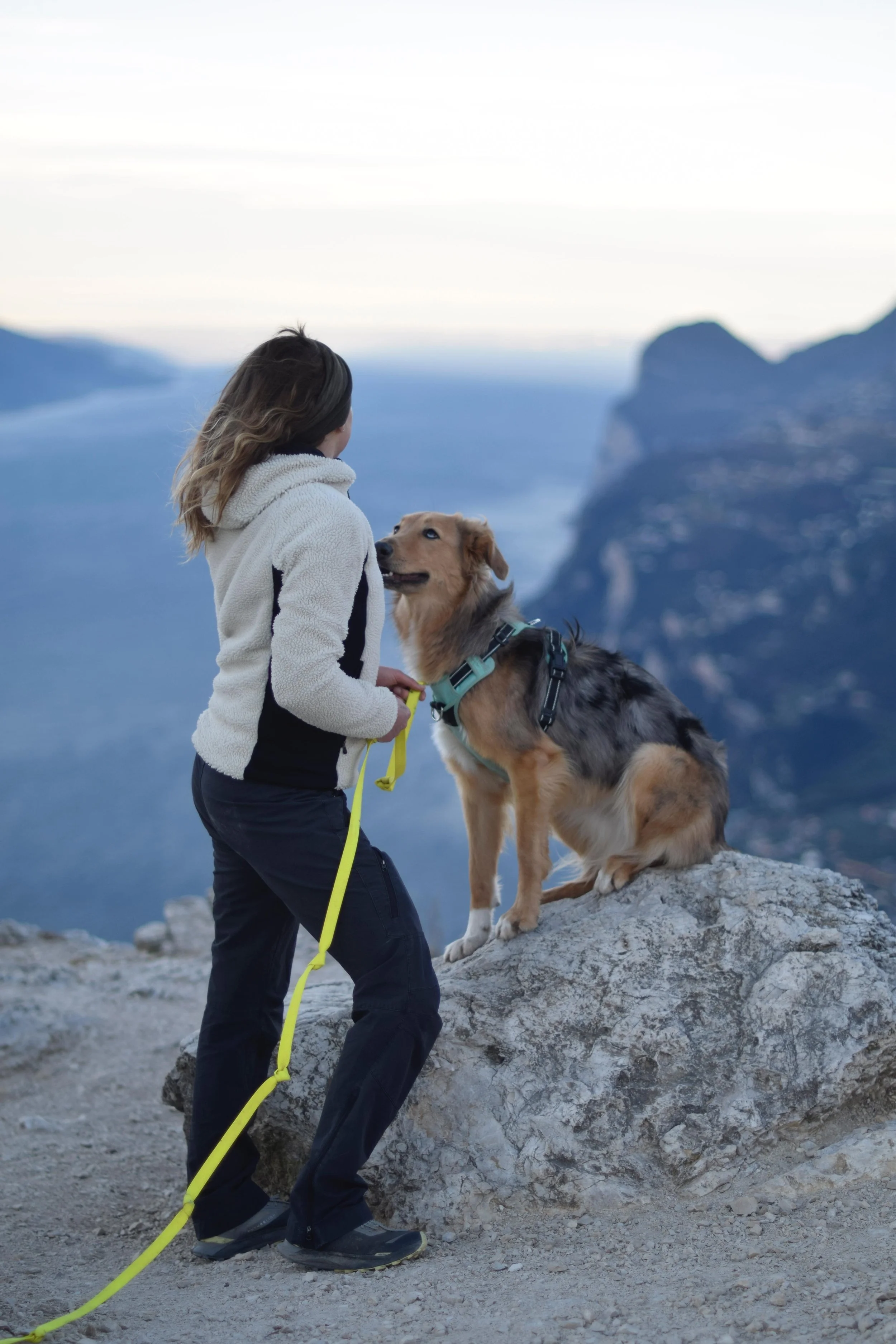 A woman stands with her back to the camera facing her dog who is sitting on a rock. They appear to be high up in the mountains.