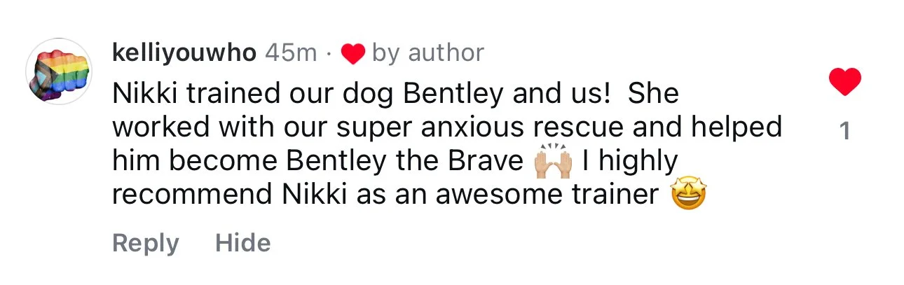 Screenshot of a social media comment saying that Nikki "worked with our super anxious rescue and helped him become Bentley the Brave. I highly recommend Nikki as an awesome trainer."