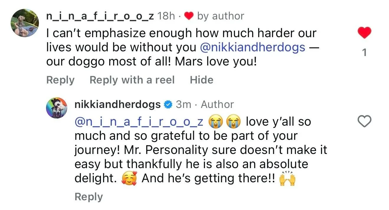 Screenshot of a social media comment from a virtual training client saying "I can't emphasize enough how much harder our lives would be without you—our doggo most of all!"
