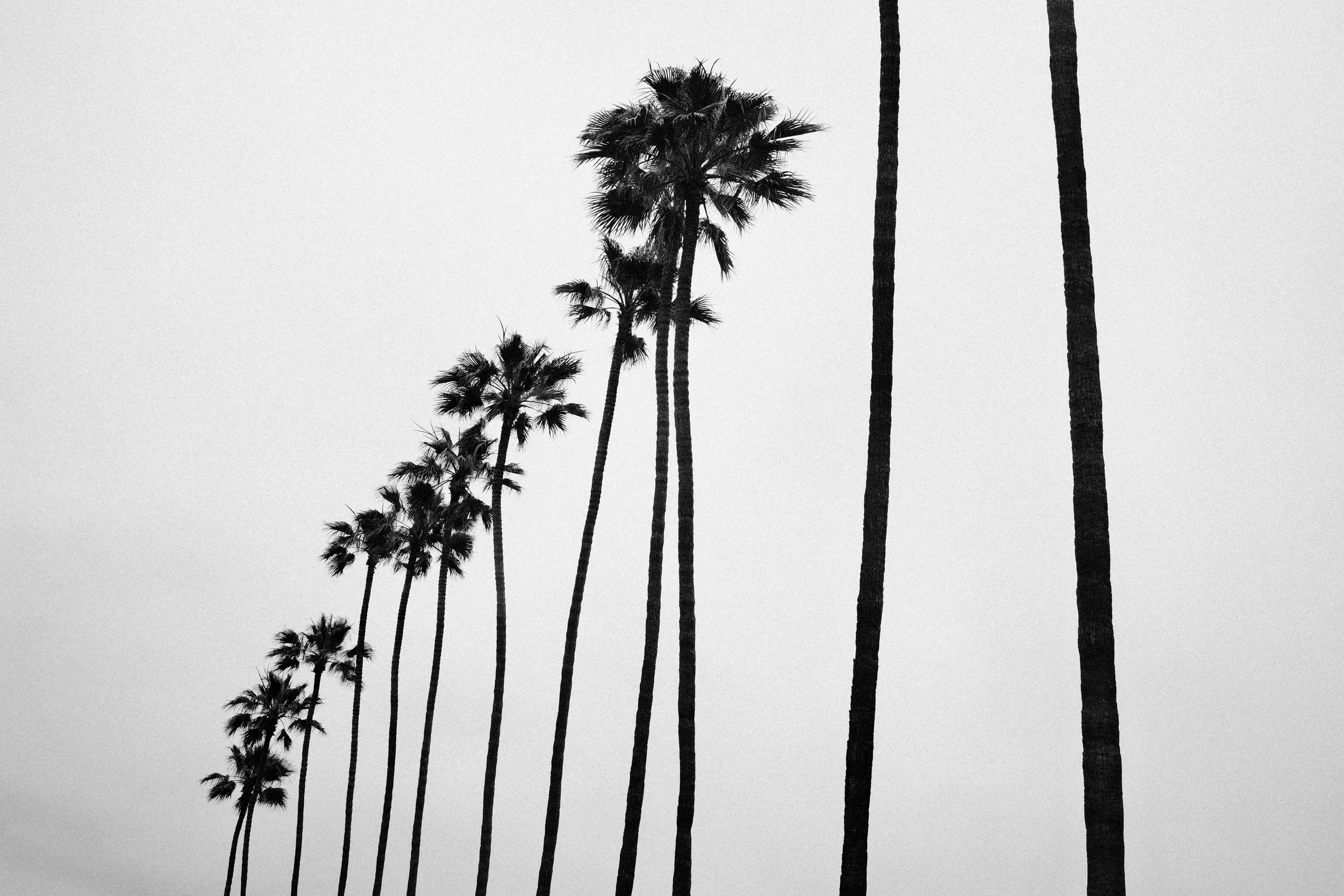 Fotografía propiedad de Corona § García Bedoy. ©2025