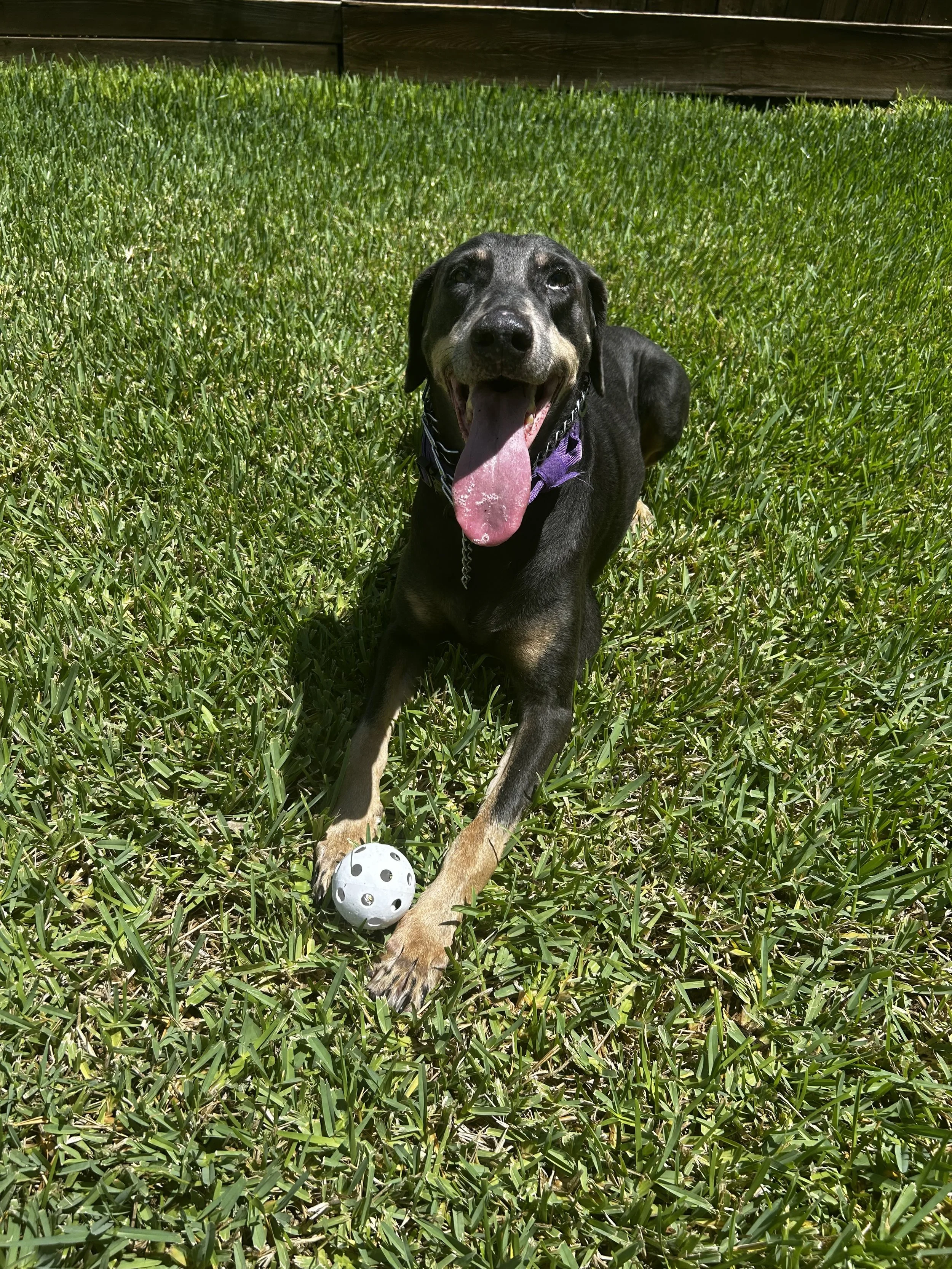 IMG_4652.jpeg