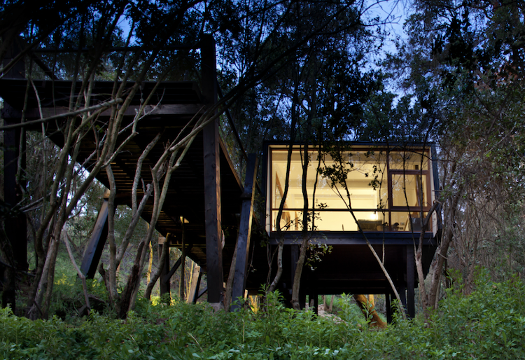 A Treehouse in Chile for Those Without Wings