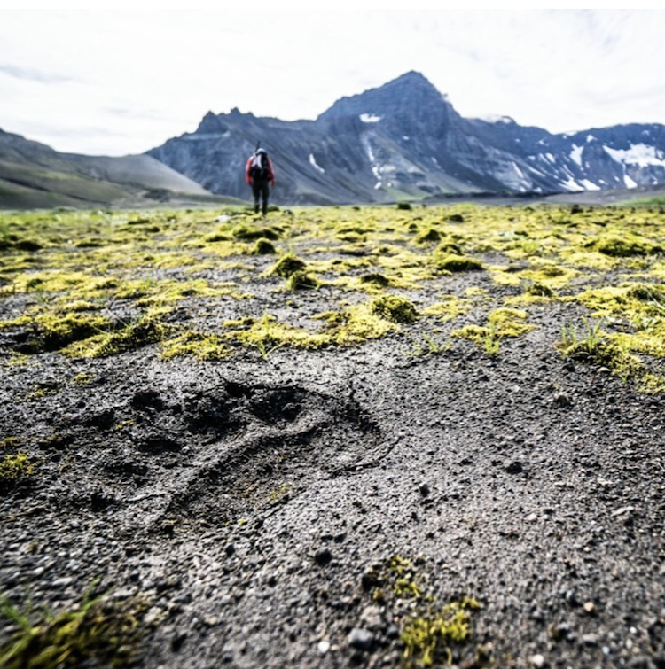 Screenshot 2025-03-07 at 5.58.42 AM.png