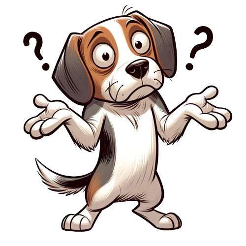 confused dog 404 page not found