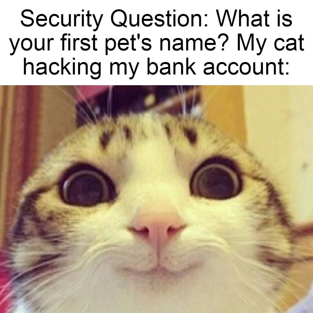 cat phishing meme