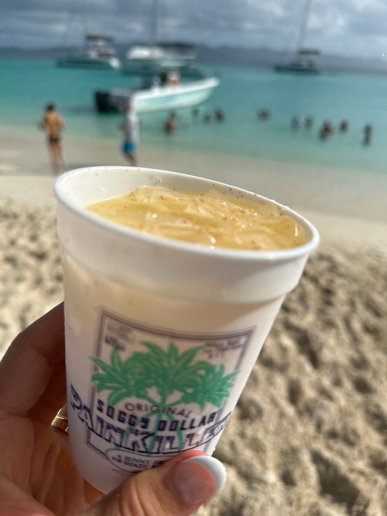 bvi3.jpg