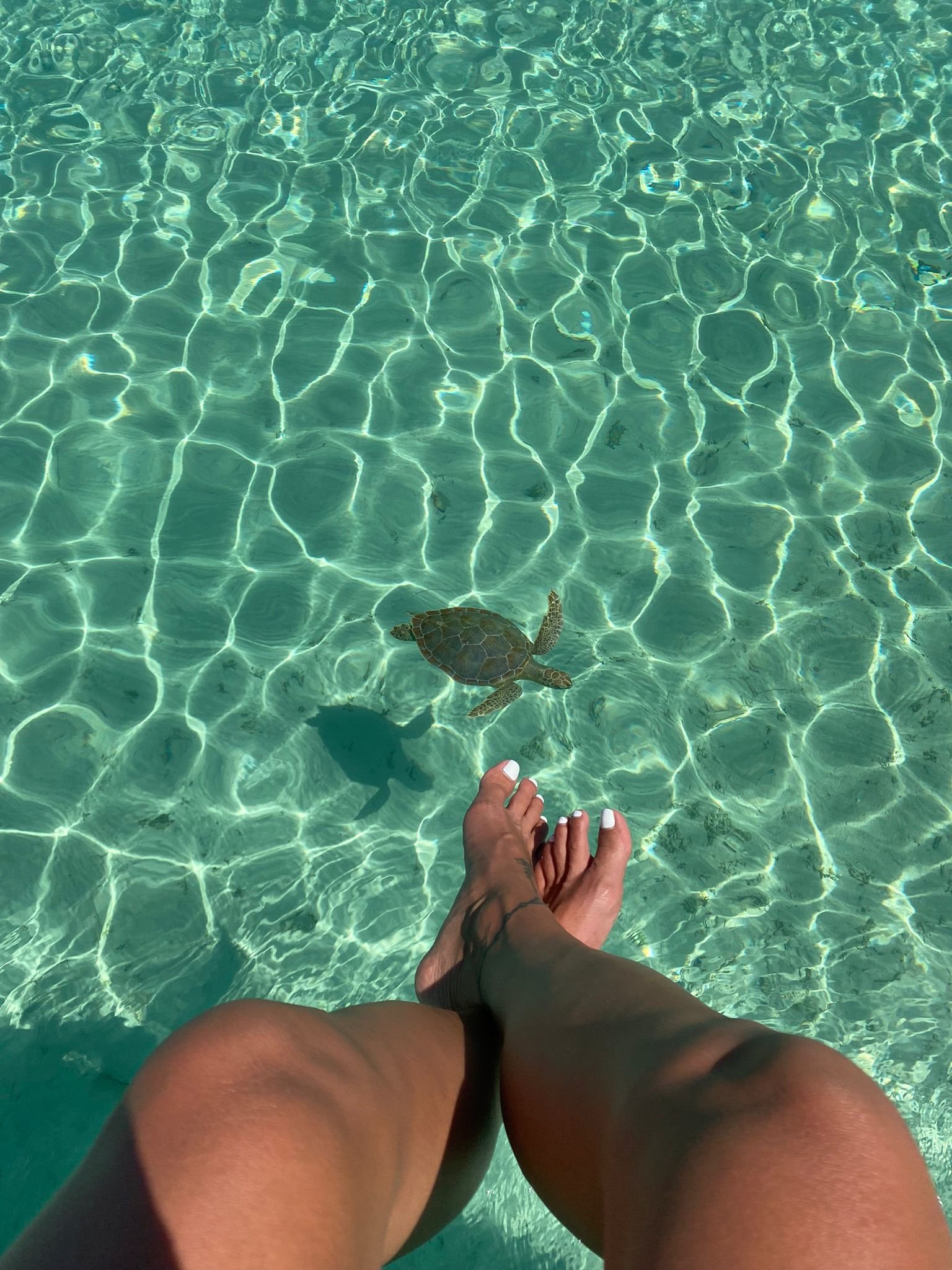 bahamas11.jpg