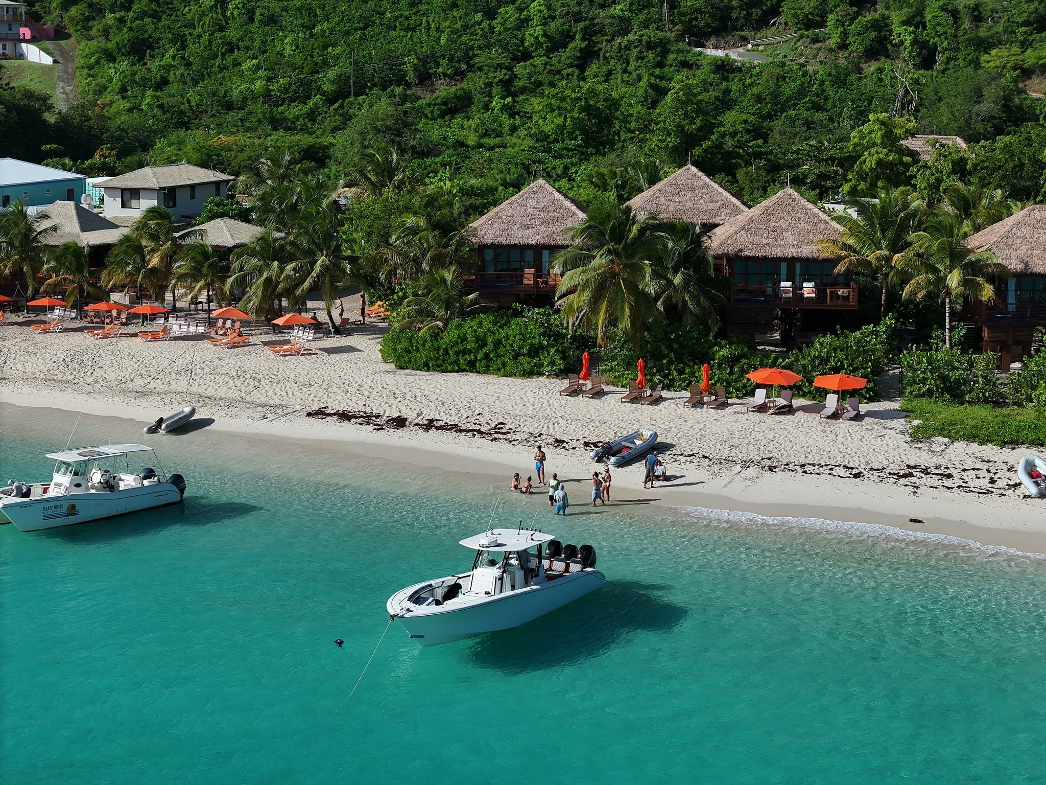bvi9 - Copy.jpg
