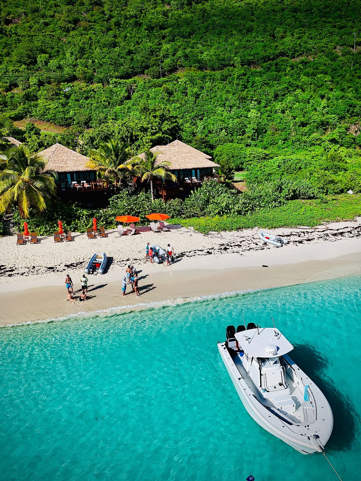 bvi8.jpg