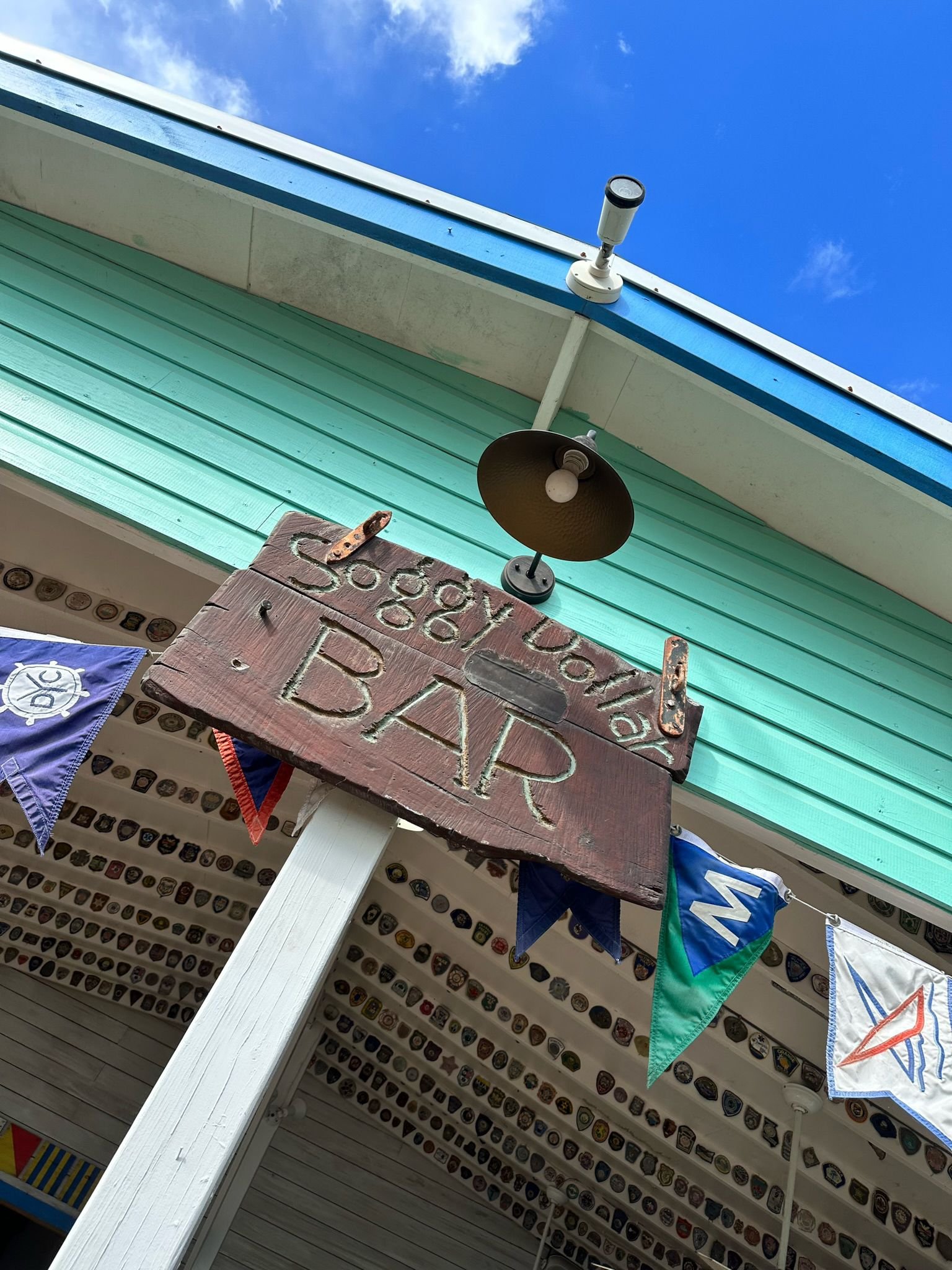bvi4.jpg